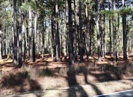Lot 9 – 5+/- Acre Lot For Sale in Robeson County, NC!