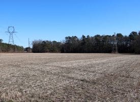 109+/- Acres of Farm and Timber Land For Sale in Hoke County NC!