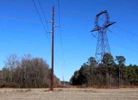 109+/- Acres of Farm and Timber Land For Sale in Hoke County NC!