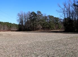 109+/- Acres of Farm and Timber Land For Sale in Hoke County NC!