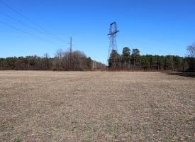 109+/- Acres of Farm and Timber Land For Sale in Hoke County NC!
