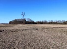 109+/- Acres of Farm and Timber Land For Sale in Hoke County NC!