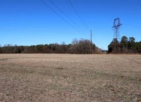 109+/- Acres of Farm and Timber Land For Sale in Hoke County NC!