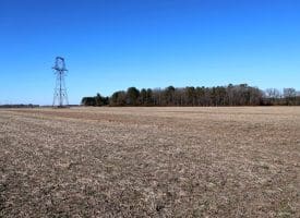 109+/- Acres of Farm and Timber Land For Sale in Hoke County NC!