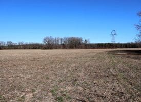 109+/- Acres of Farm and Timber Land For Sale in Hoke County NC!