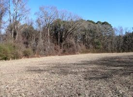 109+/- Acres of Farm and Timber Land For Sale in Hoke County NC!