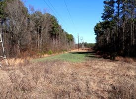 109+/- Acres of Farm and Timber Land For Sale in Hoke County NC!