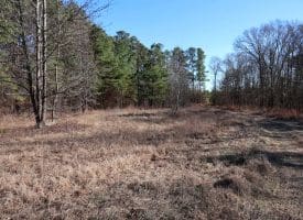 109+/- Acres of Farm and Timber Land For Sale in Hoke County NC!