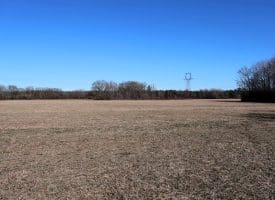 109+/- Acres of Farm and Timber Land For Sale in Hoke County NC!