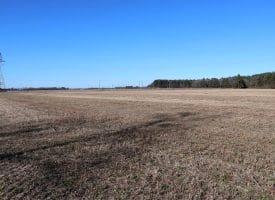 109+/- Acres of Farm and Timber Land For Sale in Hoke County NC!