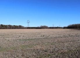 109+/- Acres of Farm and Timber Land For Sale in Hoke County NC!
