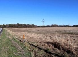 109+/- Acres of Farm and Timber Land For Sale in Hoke County NC!