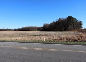 109+/- Acres of Farm and Timber Land For Sale in Hoke County NC!