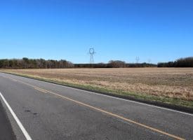 109+/- Acres of Farm and Timber Land For Sale in Hoke County NC!