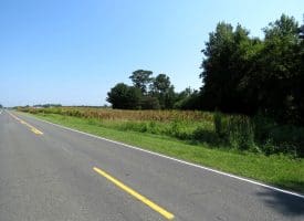 1.55+/- Acre Residential Lot For Sale in Robeson County, NC!