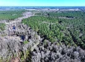 20+/- Acres of Timber and Hunting Land For Sale in Robeson County, NC!