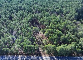 Lot 3 – 6+/- Acre Residential Lot For Sale in Robeson County, NC!