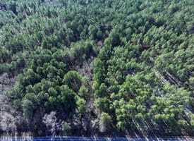 Lot 4 – 6+/- Acre Lot For Sale in Robeson County NC!