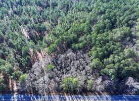 Lot 5 – 6+/- Acre Lot For Sale in Robeson County, NC!