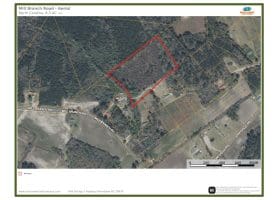 8.3+/- Acres of Hunting or Recreational Property For Sale in Robeson County, NC!