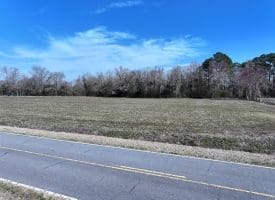88+/- Acres of Hunting and Farmland For Sale in Duplin County, NC!