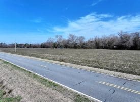 88+/- Acres of Hunting and Farmland For Sale in Duplin County, NC!