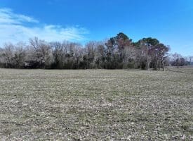 88+/- Acres of Hunting and Farmland For Sale in Duplin County, NC!