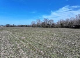88+/- Acres of Hunting and Farmland For Sale in Duplin County, NC!