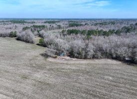 88+/- Acres of Hunting and Farmland For Sale in Duplin County, NC!