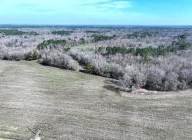 88+/- Acres of Hunting and Farmland For Sale in Duplin County, NC!
