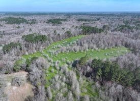 88+/- Acres of Hunting and Farmland For Sale in Duplin County, NC!