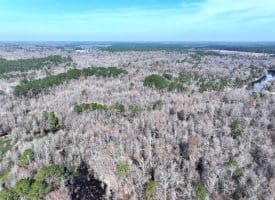 88+/- Acres of Hunting and Farmland For Sale in Duplin County, NC!