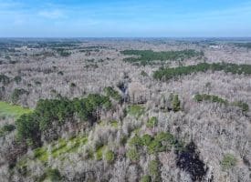 88+/- Acres of Hunting and Farmland For Sale in Duplin County, NC!