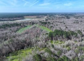 88+/- Acres of Hunting and Farmland For Sale in Duplin County, NC!