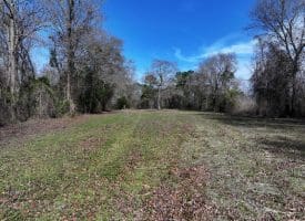 88+/- Acres of Hunting and Farmland For Sale in Duplin County, NC!