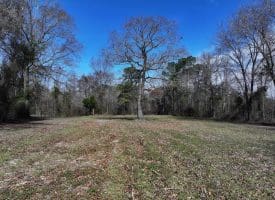 88+/- Acres of Hunting and Farmland For Sale in Duplin County, NC!