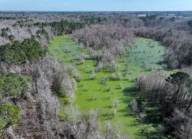 88+/- Acres of Hunting and Farmland For Sale in Duplin County, NC!