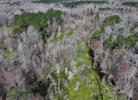 88+/- Acres of Hunting and Farmland For Sale in Duplin County, NC!