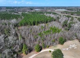 8.3+/- Acres of Hunting or Recreational Property For Sale in Robeson County, NC!