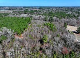 8.3+/- Acres of Hunting or Recreational Property For Sale in Robeson County, NC!