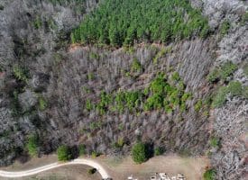 8.3+/- Acres of Hunting or Recreational Property For Sale in Robeson County, NC!