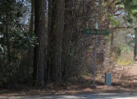 8.3+/- Acres of Hunting or Recreational Property For Sale in Robeson County, NC!
