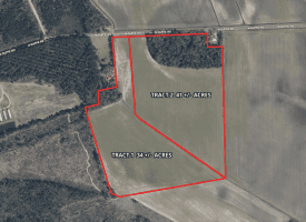 41+/- Acres of Farm and Timberland For Sale in Hoke County, NC!