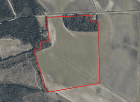 74+/- Acres of Farm and Timberland for Sale in Hoke County, NC!