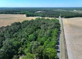 74+/- Acres of Farm and Timberland for Sale in Hoke County, NC!