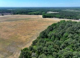 41+/- Acres of Farm and Timberland For Sale in Hoke County, NC!