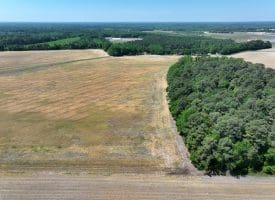 41+/- Acres of Farm and Timberland For Sale in Hoke County, NC!