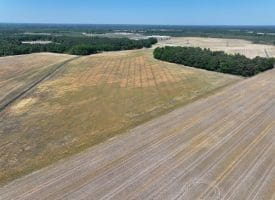 74+/- Acres of Farm and Timberland for Sale in Hoke County, NC!