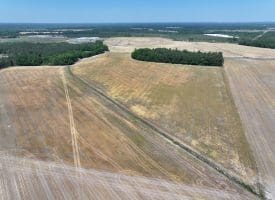 74+/- Acres of Farm and Timberland for Sale in Hoke County, NC!