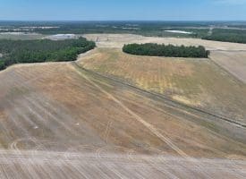 34+/- Acres of Farm and Timberland For Sale in Hoke County, NC!